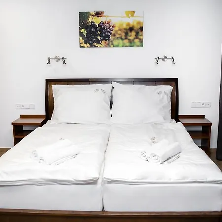 U Svatosa Guest house