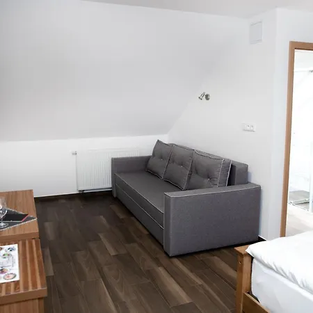 U Svatosa Guest house *